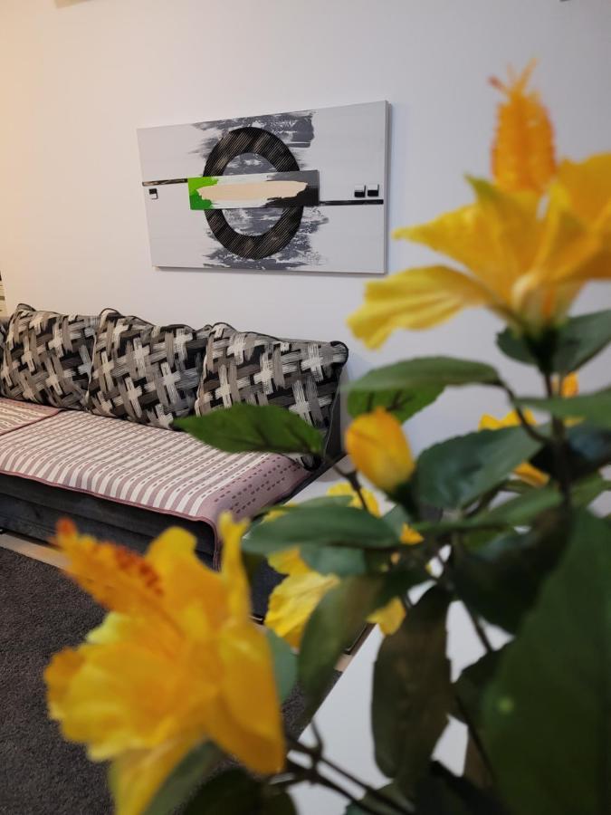 Cozy Park Residences 5 부쿠레슈티 외부 사진
